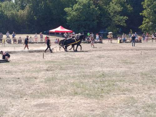 IMG_20260808_153043